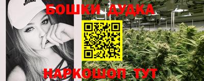 мдпв Будённовск